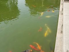 -祝家花園(伯渎港店)