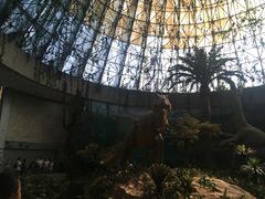 -中国西峡恐龙遗迹园