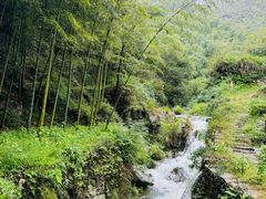 -四明山国家森林公园