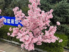 -北京石景山游乐园