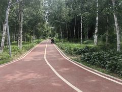 -长春市南湖公园