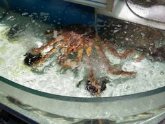 -利客来李村购物中心