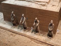 -秦始皇帝陵博物院-丽山园