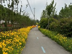 -太阳宫公园
