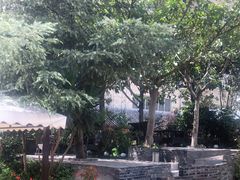 -山菌美食苑(振兴路店)