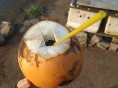 -尼甘布海鲜市场