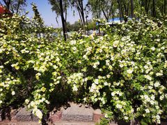 -森林公园(尖草坪区)