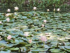 -上海辰山植物园