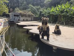 -贵州森林野生动物园
