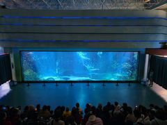 -海合安成都极地海洋公园