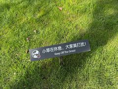 -陆家嘴中心绿地