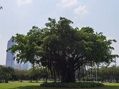 -万绿园