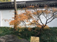 -秋霞圃
