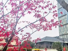 -同济大学(地铁站)