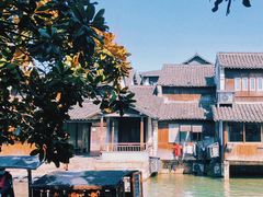 -乌镇西栅景区