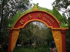 -瑞丽独树成林风景区