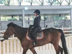 -名驭国际马术学院