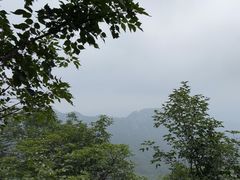 -大岭沟猕猴桃谷风景区
