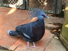 -清迈夜间动物园