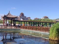 -莲花池公园