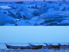 -黑龙江扎龙生态旅游区