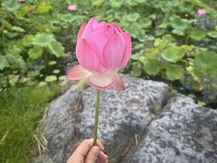 -东北姐妹菜馆no.2(胥口店)
