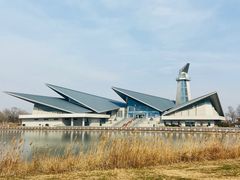 -盐城丹顶鹤湿地生态旅游区