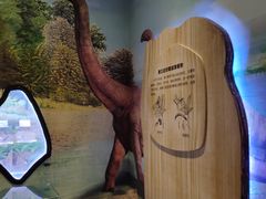 -陕西自然博物馆