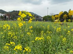 -红山村