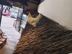 -洞庭土菜馆(天河北总店)