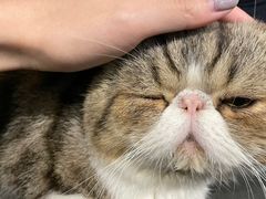 -参差咖啡(水果湖公园店)