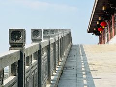 -大湾区中央湿地公园