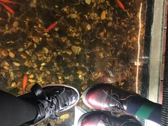-颐和•海鲜砂锅粥•啫啫煲(奥林匹克广场店)