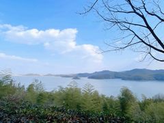 -天目湖涵田半山温泉