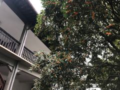 -蒋氏故居