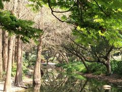 -人民公园(罗湖区)