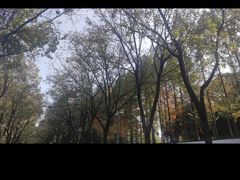 -后襄河公园