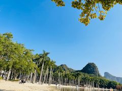 -南宁花花大世界景区