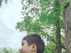 -汇龙潭