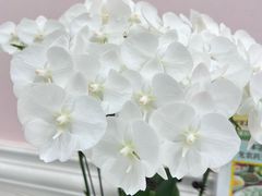 -谦和素食自助餐(云峰花园店)