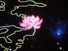 -印象普陀