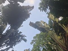 -罗浮山嘉宝田森林温泉度假酒店