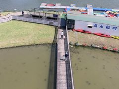 -春花秋色城市公园