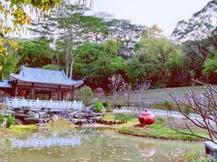 -广州市白云山风景名胜区