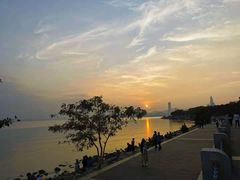 -深圳湾公园(南山区)