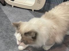 -1013 PET SHOP 宠物商店(近铁城市广场店)