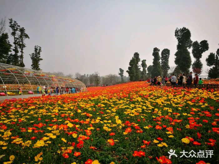 秀麗東方圖片