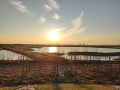 -南汇嘴观海公园