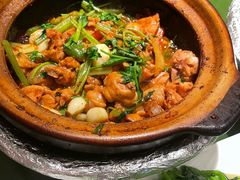 沙姜嗜鸡-煲煲好(朝阳门店)