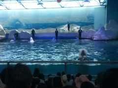 -秦皇岛乐岛海洋王国